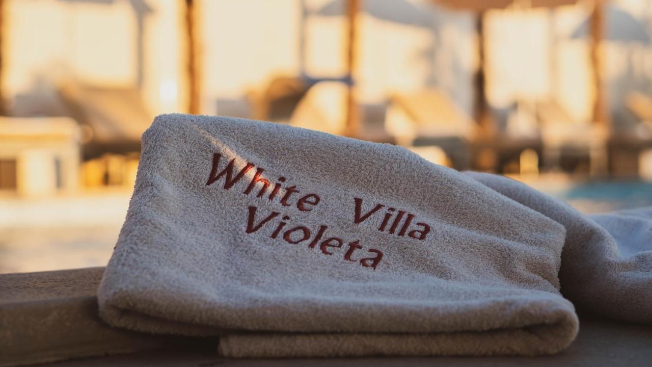 Luxury Apartments White Villa Violeta Mandre Εξωτερικό φωτογραφία