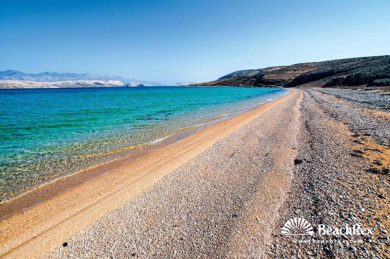 Luxury Apartments White Villa Violeta Mandre Εξωτερικό φωτογραφία